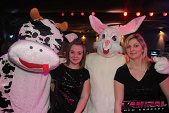 photo 10794423.jpg